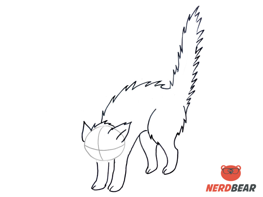 How To Draw An Angry Anime Cat 7