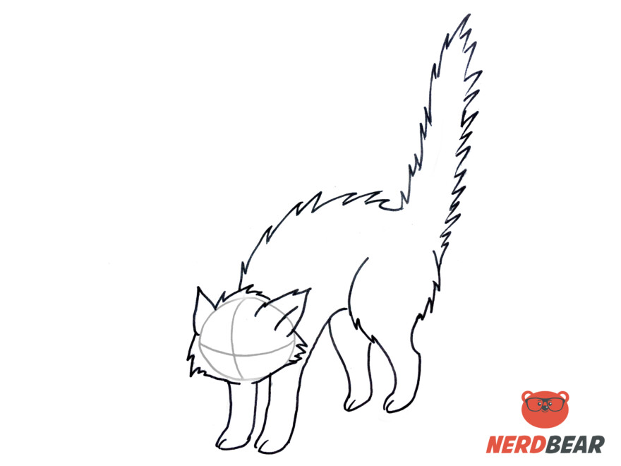 How To Draw An Angry Anime Cat 8