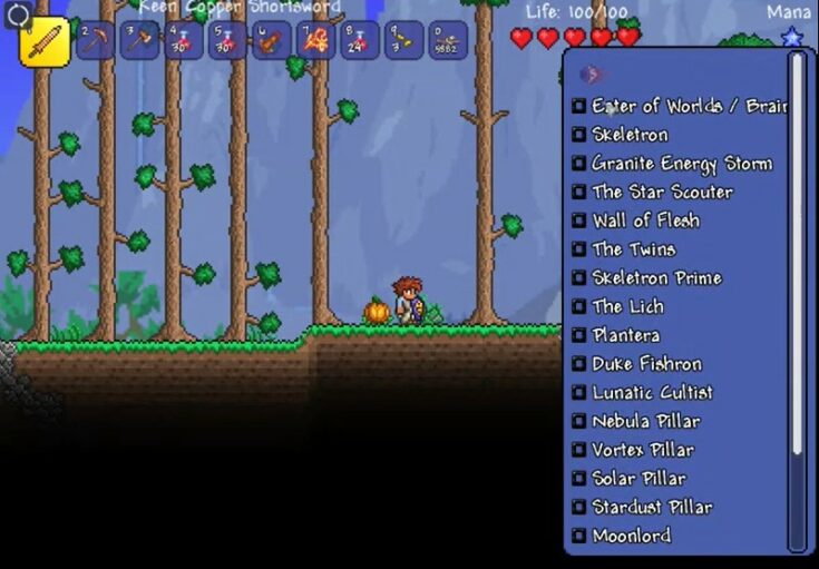 Top 30 Best Terraria Mods 2024   Boss Checklist 735x511 