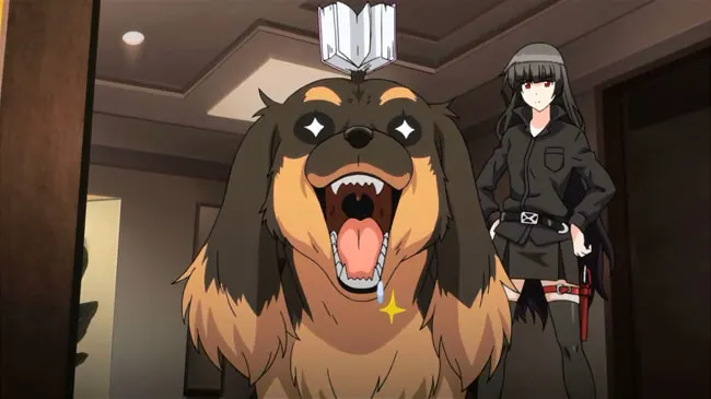 Watch The My Life as Inukaisans Dog Anime January 5 on HIDIVE