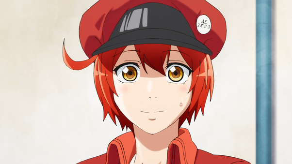 Red Blood Cell Ae3803
