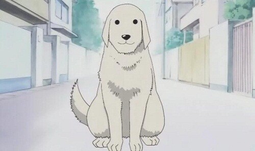 Top 26 Best Anime Dogs [2023]