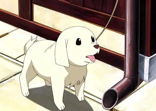 Chibi Cute Anime Dogs HD Png Download  Transparent Png Image  PNGitem