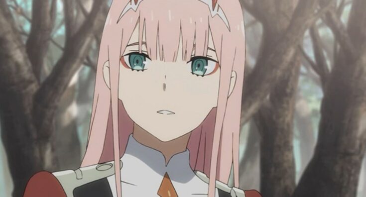 Top 30 Best Pink Hair Anime Girls [2023]