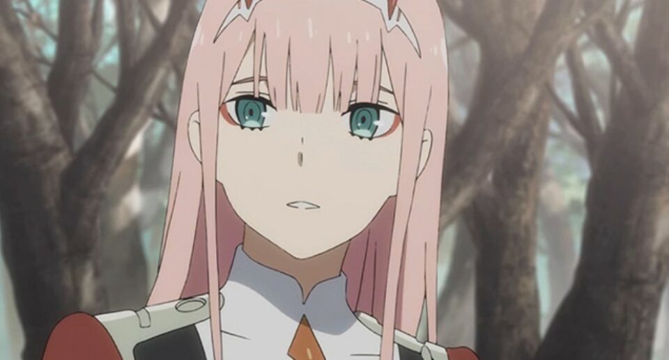 Top 30 Best Pink Hair Anime Girls [2023]