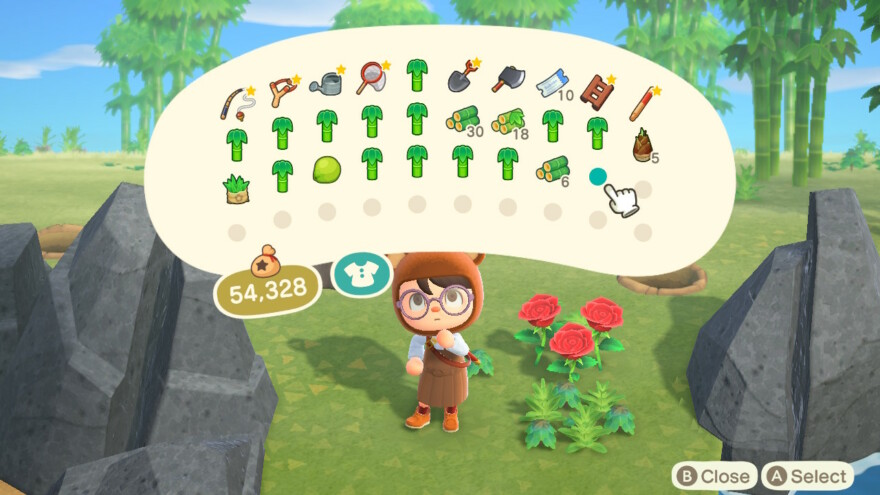 Animal Crossing Bamboo Pocket