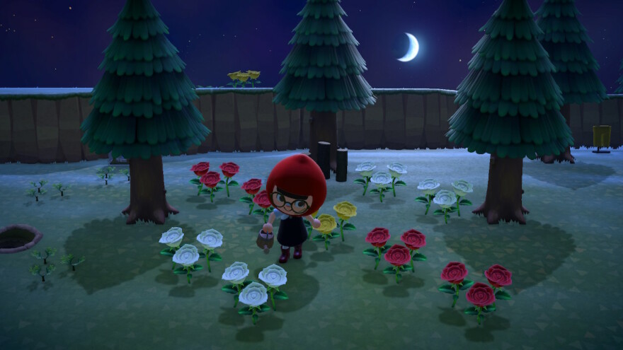 Animal Crossing Breeding Flowers