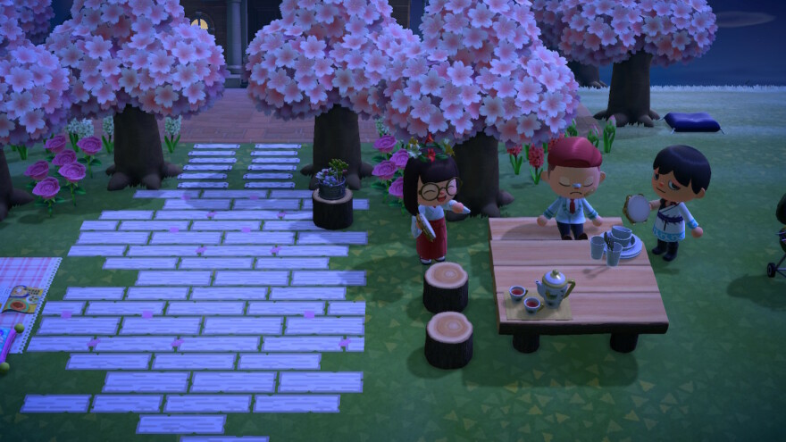 Animal Crossing Cherry Blossoms Event