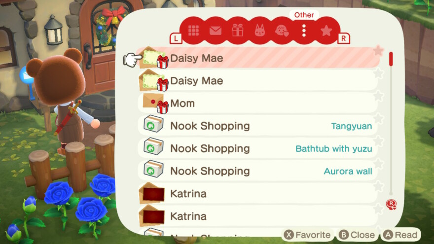 Animal Crossing Daisy Mae Letter