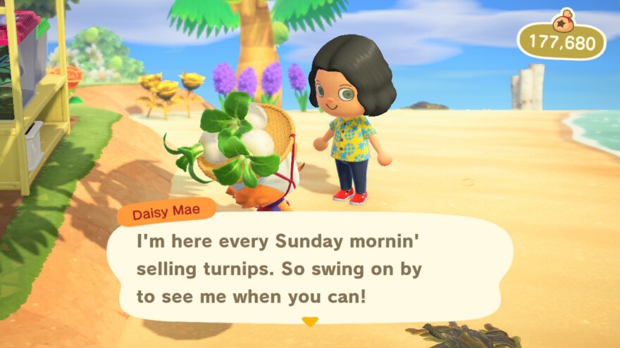 Animal Crossing Daisy Mae On Sundays