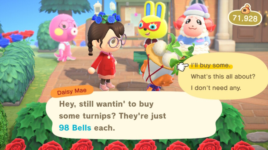 Animal Crossing Daisy Mae Turnip Price