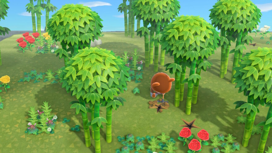 Animal Crossing Digging Bamboo Shoot