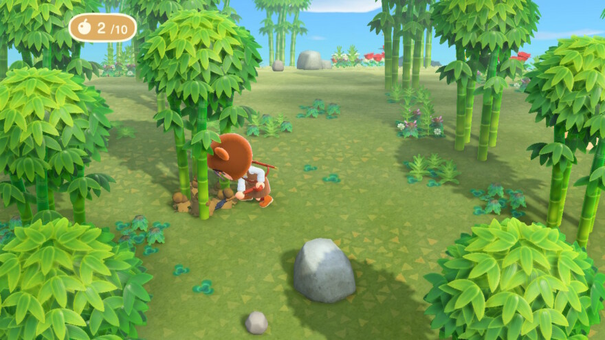 Animal Crossing Digging Bamboo