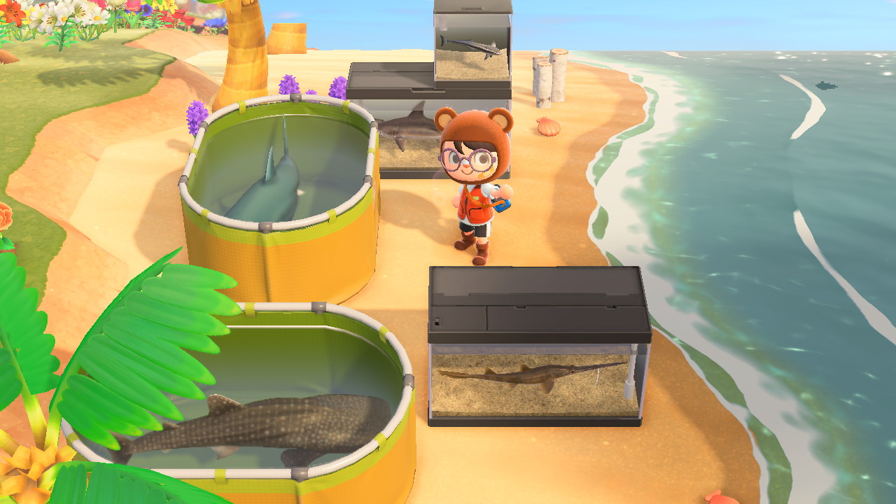Animal Crossing - Displaying Sharks