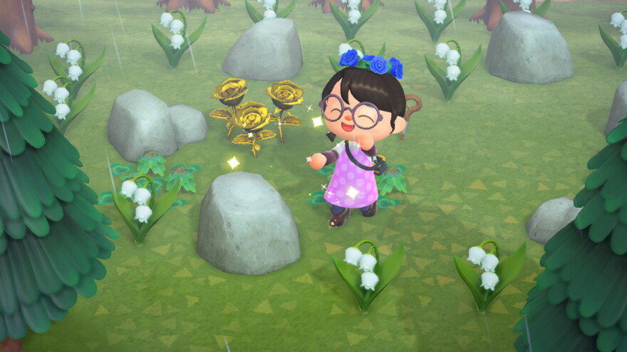 Animal Crossing Find Rocks