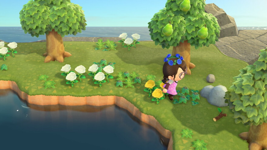 Animal Crossing Find Your Rocks For Clay