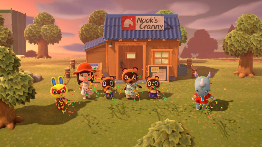 Animal Crossing First Nook's Cranny