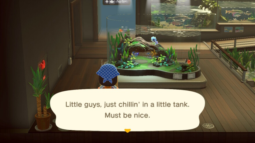 Animal Crossing Fish In Museum