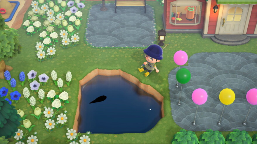 Animal Crossing Fish In Ponds