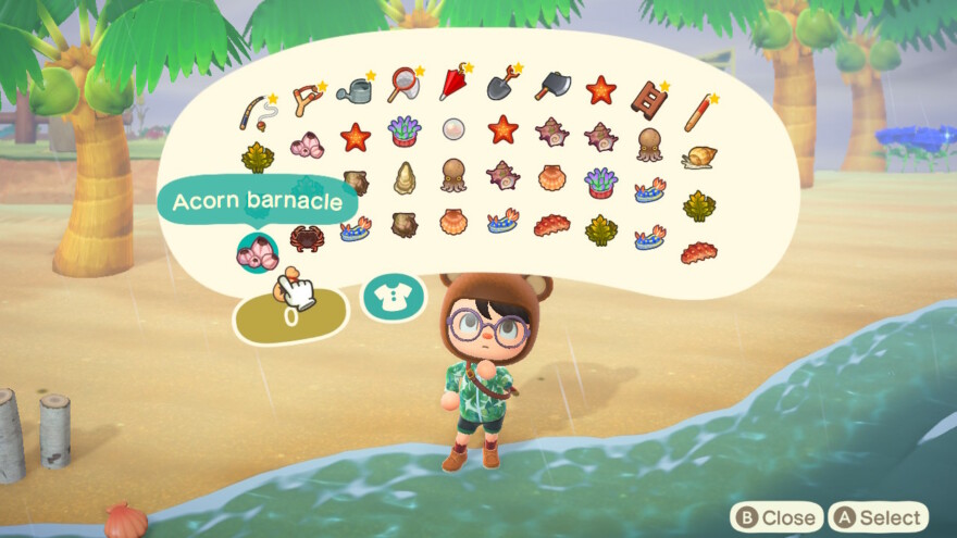 Animal Crossing Full Pocket From Sea Critters