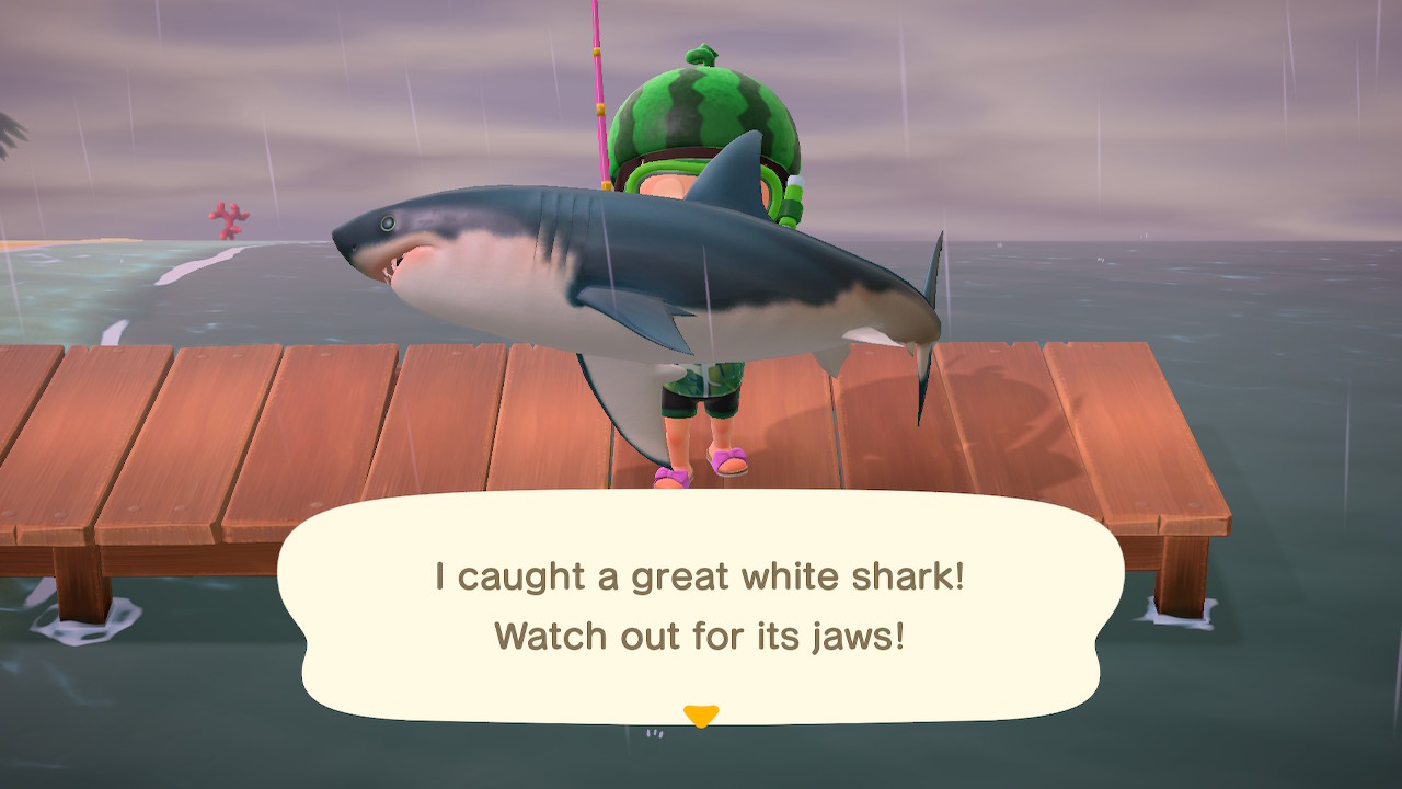 Animal Crossing - Great White Shark