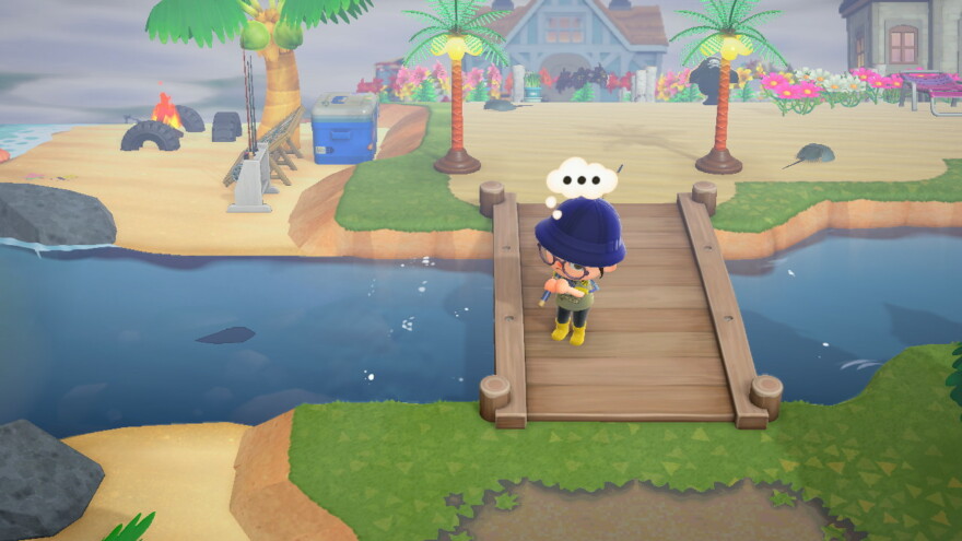 Animal Crossing How To Fish