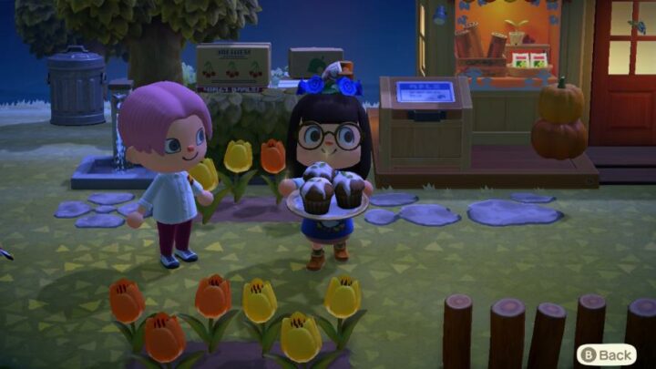 How To Add Friends in Animal Crossing