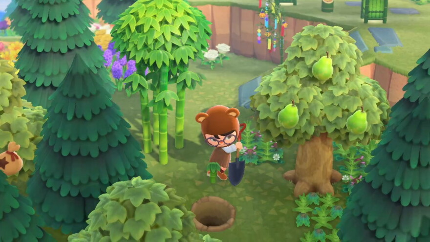 Animal Crossing Planting Bamboo