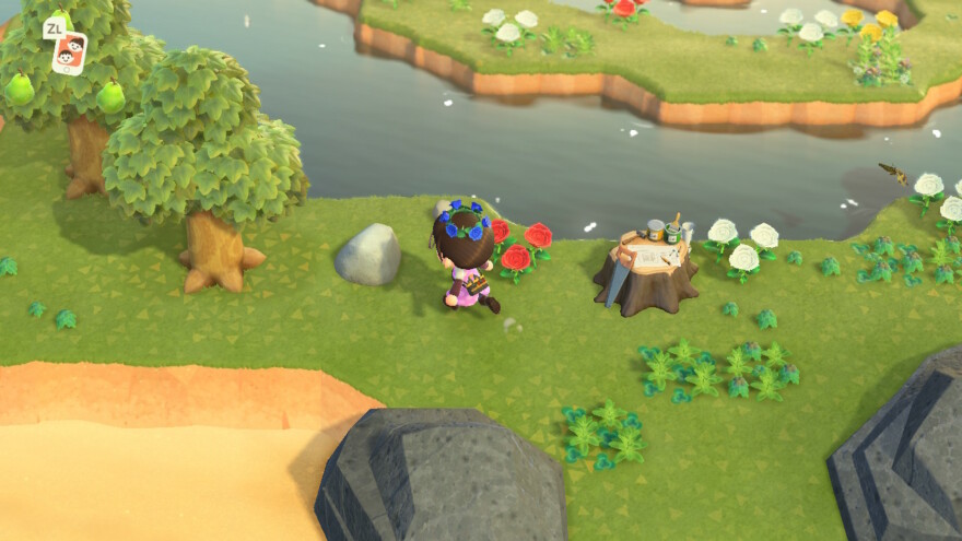 Animal Crossing Rocks In Mystery Island