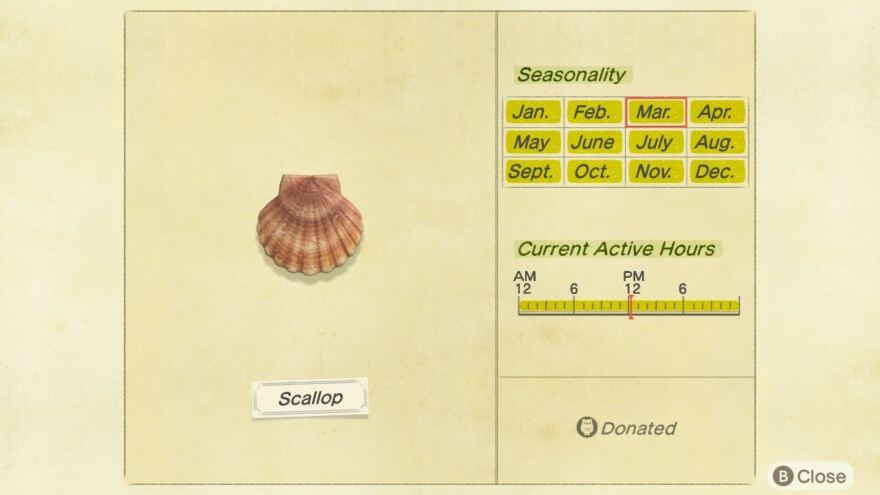 Animal Crossing Scallop Info