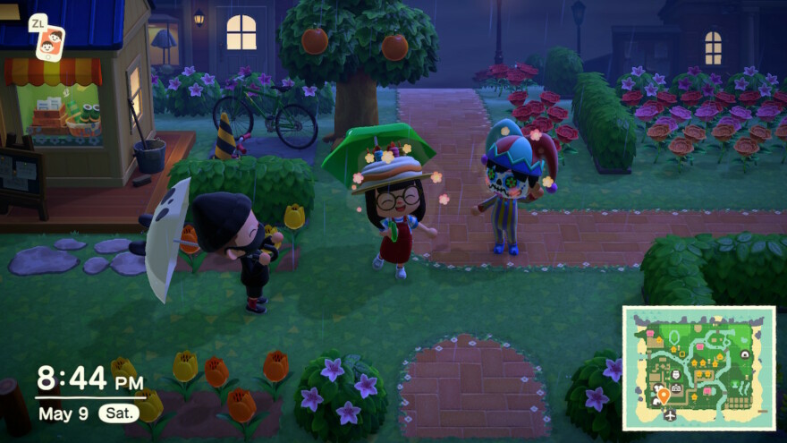 Animal Crossing Selling Turnips At Another Island