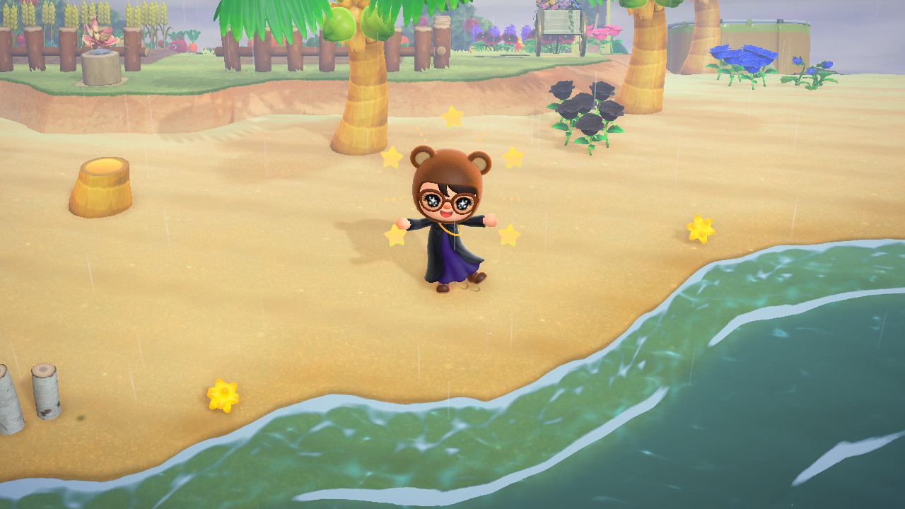 Animal Crossing - Star Fragments Washed Up