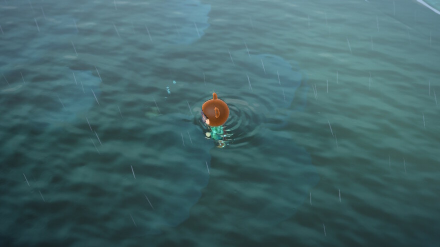 Animal Crossing Swimming In The Rain