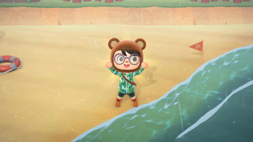 Animal Crossing Wet Suit For Diving