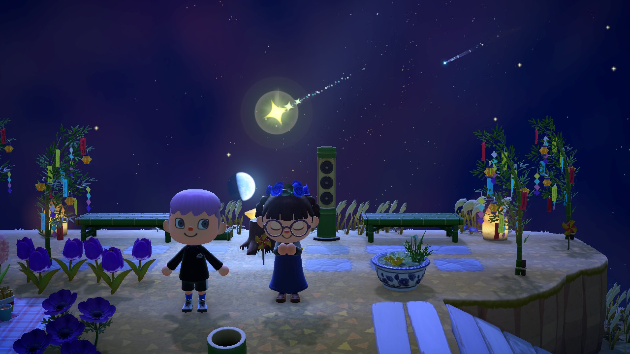Animal Crossing - Wishing with Friends