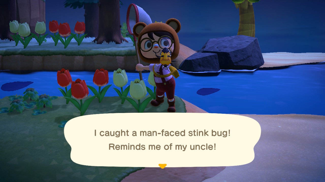 Animal Crossing - Catching Bugs 2