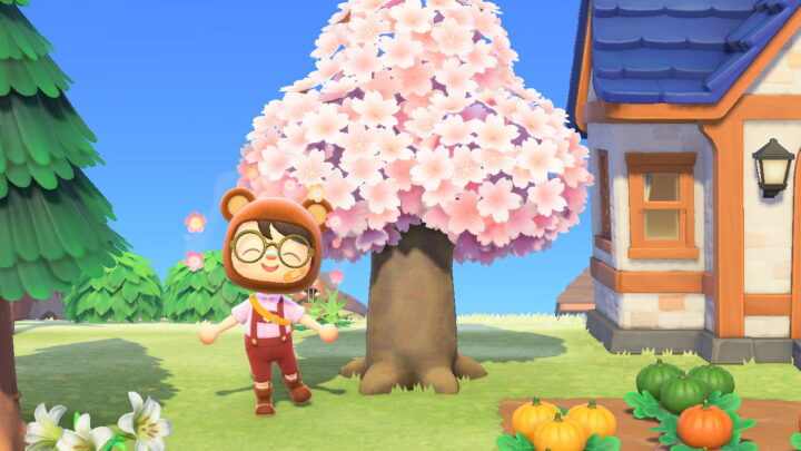 How To Find and Craft Cherry Blossom Recipes in Animal Crossing