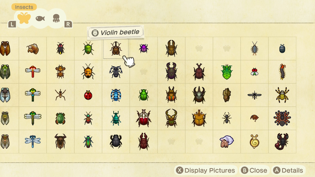 Animal Crossing Beetle Critterpedia