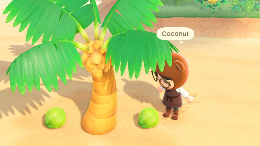 How To Get Coconut in Animal Crossing