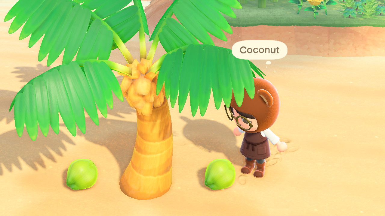Animal Crossing Coconut Fruit