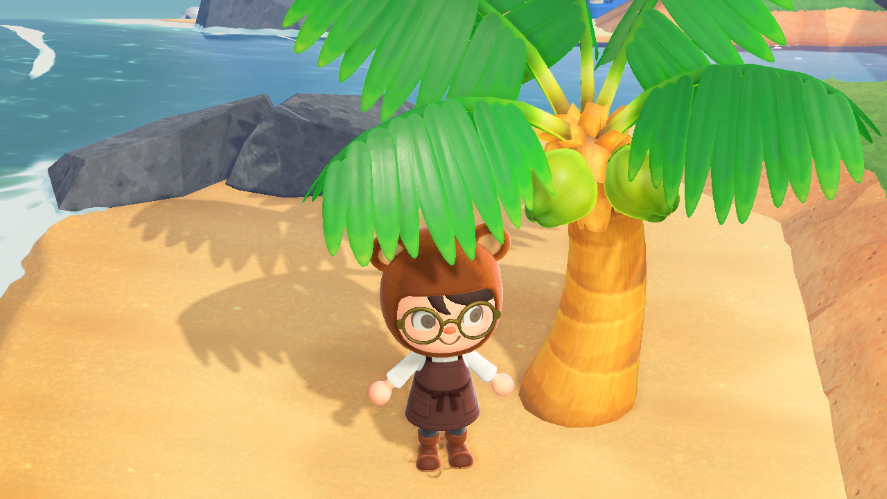 Animal Crossing Coconuts In Animal Crossing New Horizons