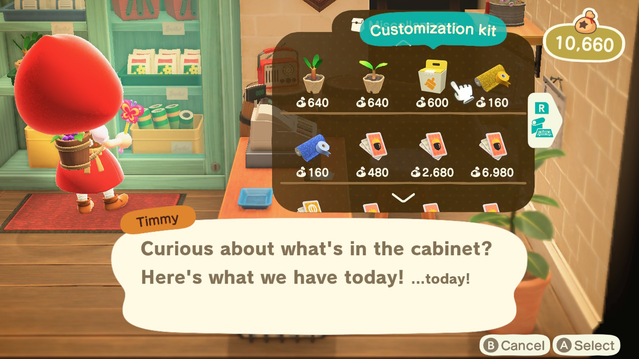 Animal Crossing Customization Kit