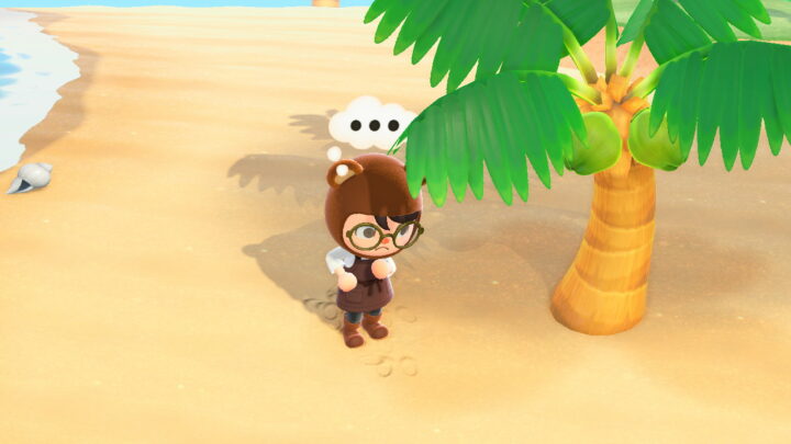 Animal Crossing How To Get Coconut