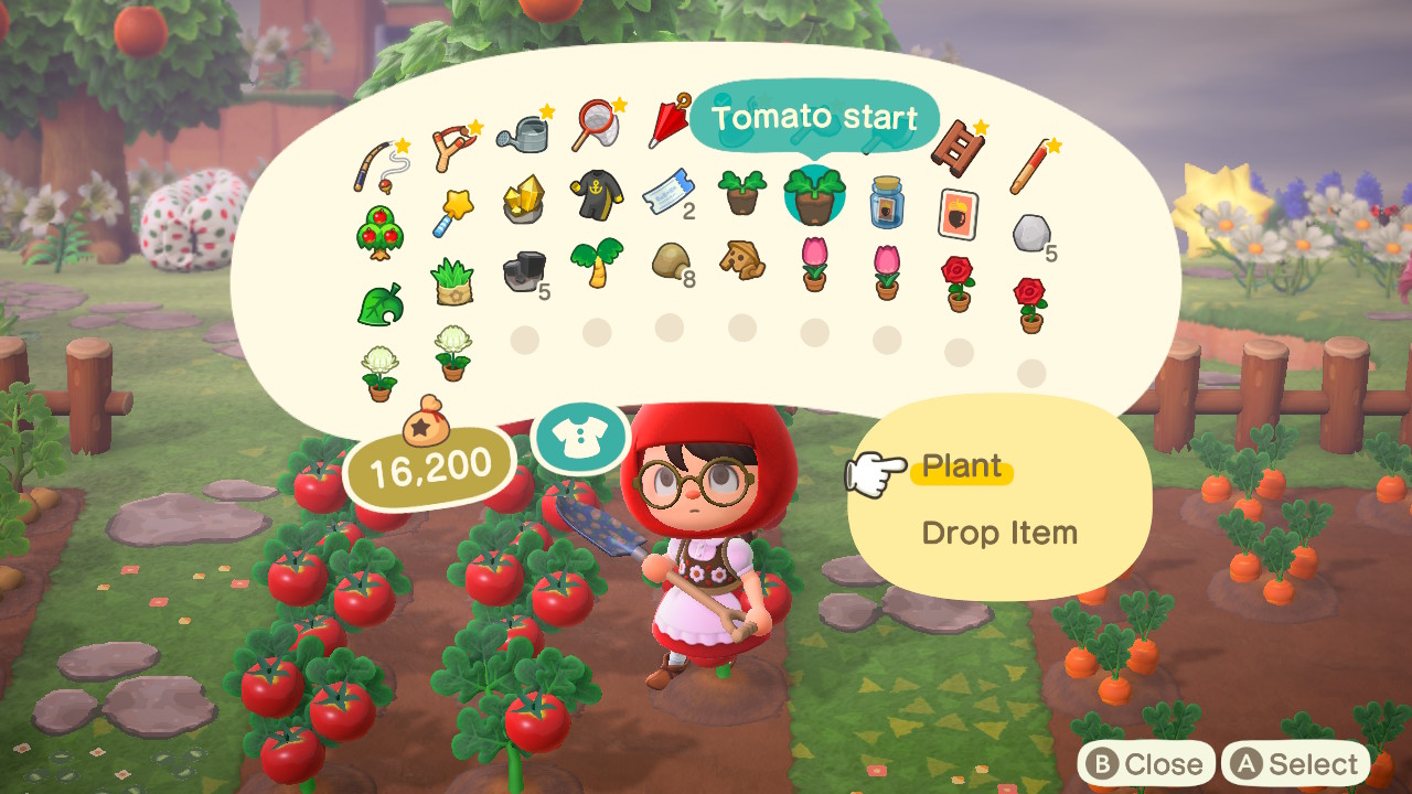 Animal Crossing Plant Tomato