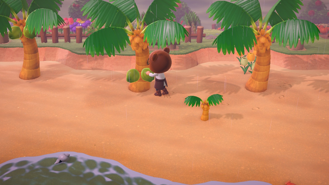 Animal Crossing Shaking Coconut Trees