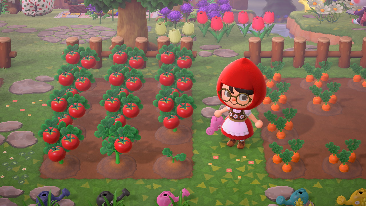 Animal Crossing Tomatoes And Carrots
