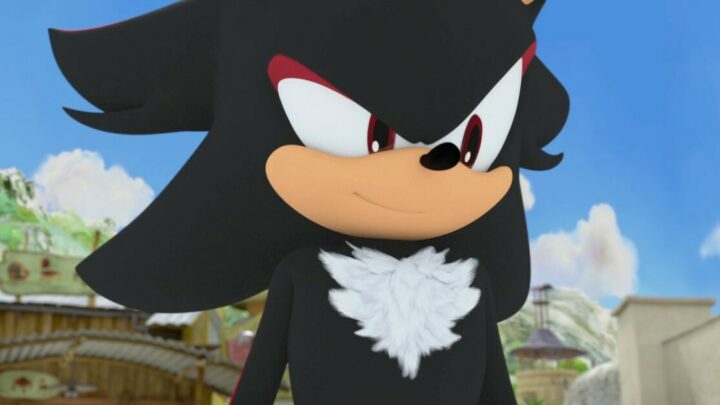 How Old Is Shadow the Hedgehog?