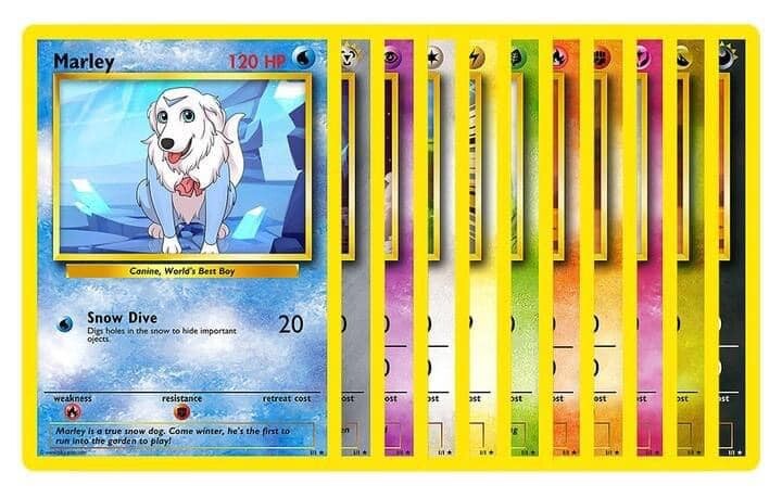 Pika Pets Cards