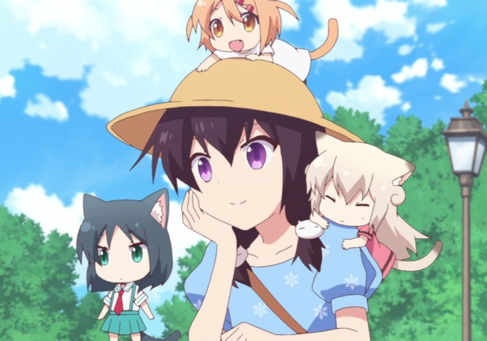 Best Cat Girl Anime Nyanko Days