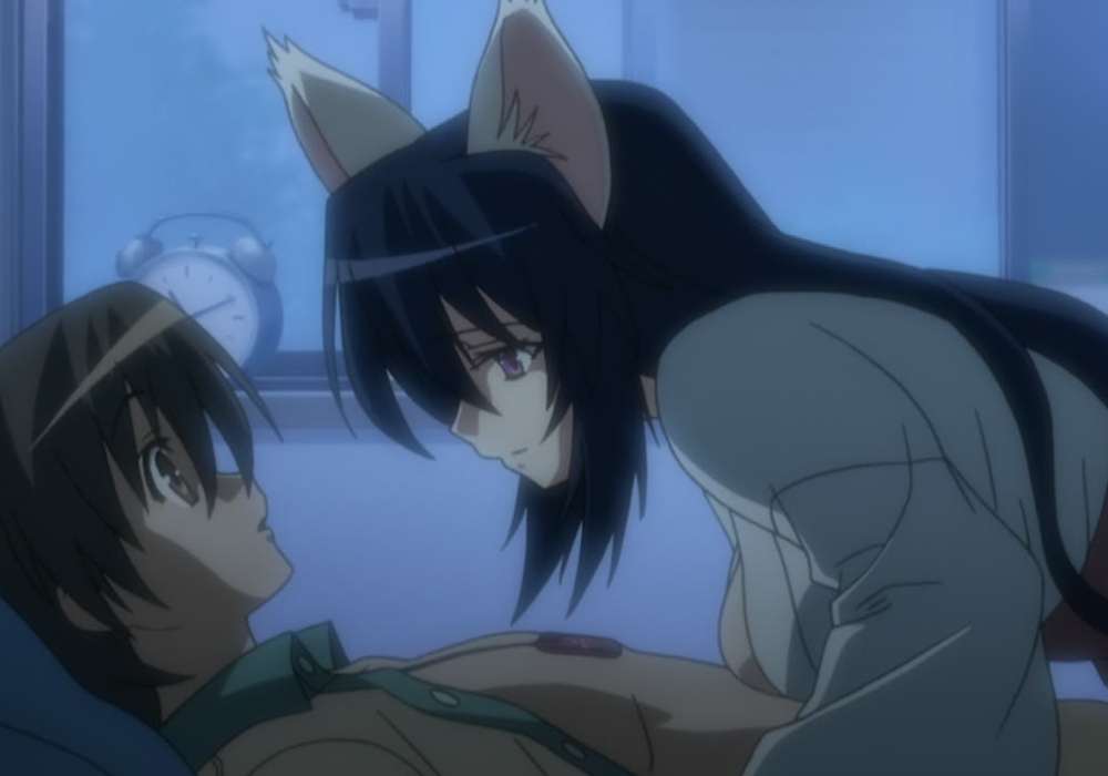 Best Cat Girl Anime Omamori Himari